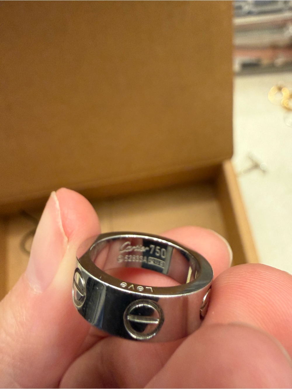 Source Unknown White Gold Band with Screw Motif - Silver